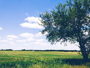 A countryside venue is the perfect place to marry