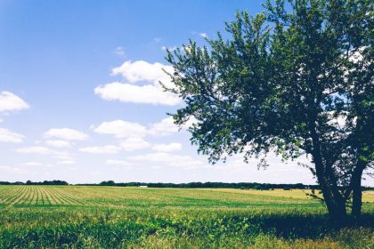 A countryside venue is the perfect place to marry